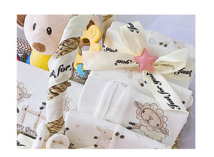 Newborn Baby Clothes Gift Set – 12-Piece Autumn & Winter Gift Basket
